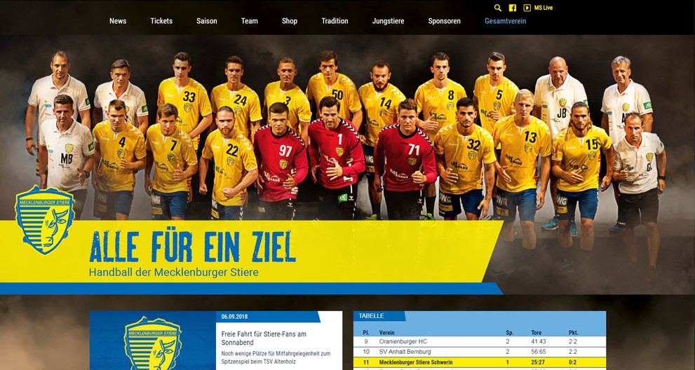 Mecklenburger Stiere