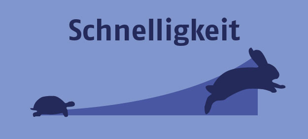 Schildkröte bis Hase